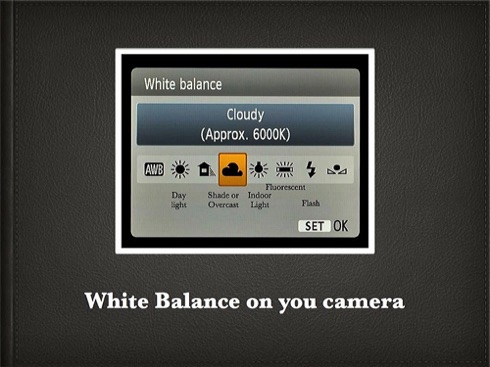 How to White Balance.007.jpg How to White Balance.007.jpg